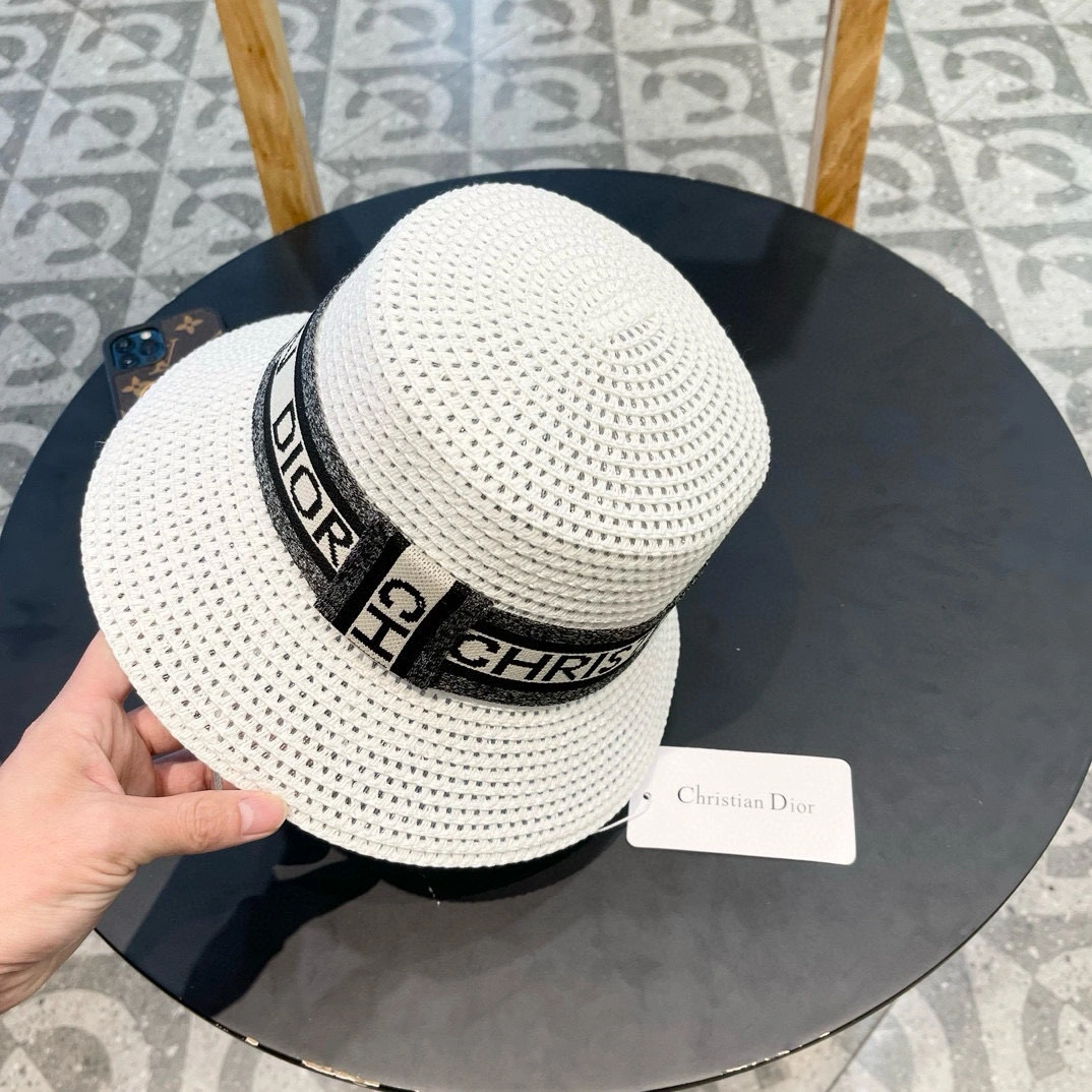 TimelessDesign D*ior Hats Top XX250411- 17316