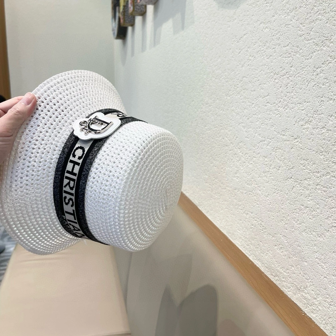 TimelessDesign D*ior Hats Top XX250411- 17316