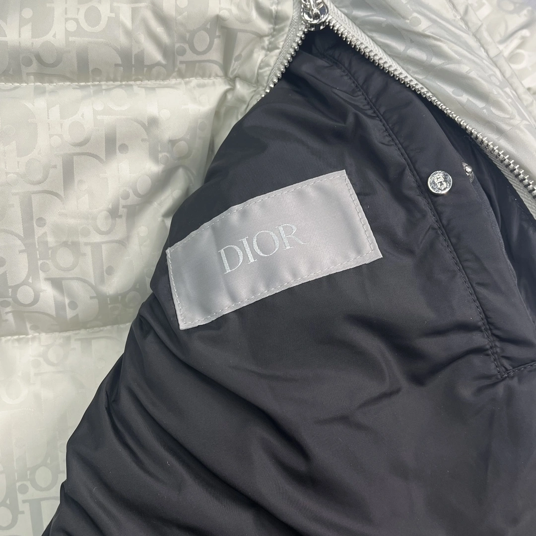 StreetReady D*ior Hoodie Top Quality D17 20231108- 13359