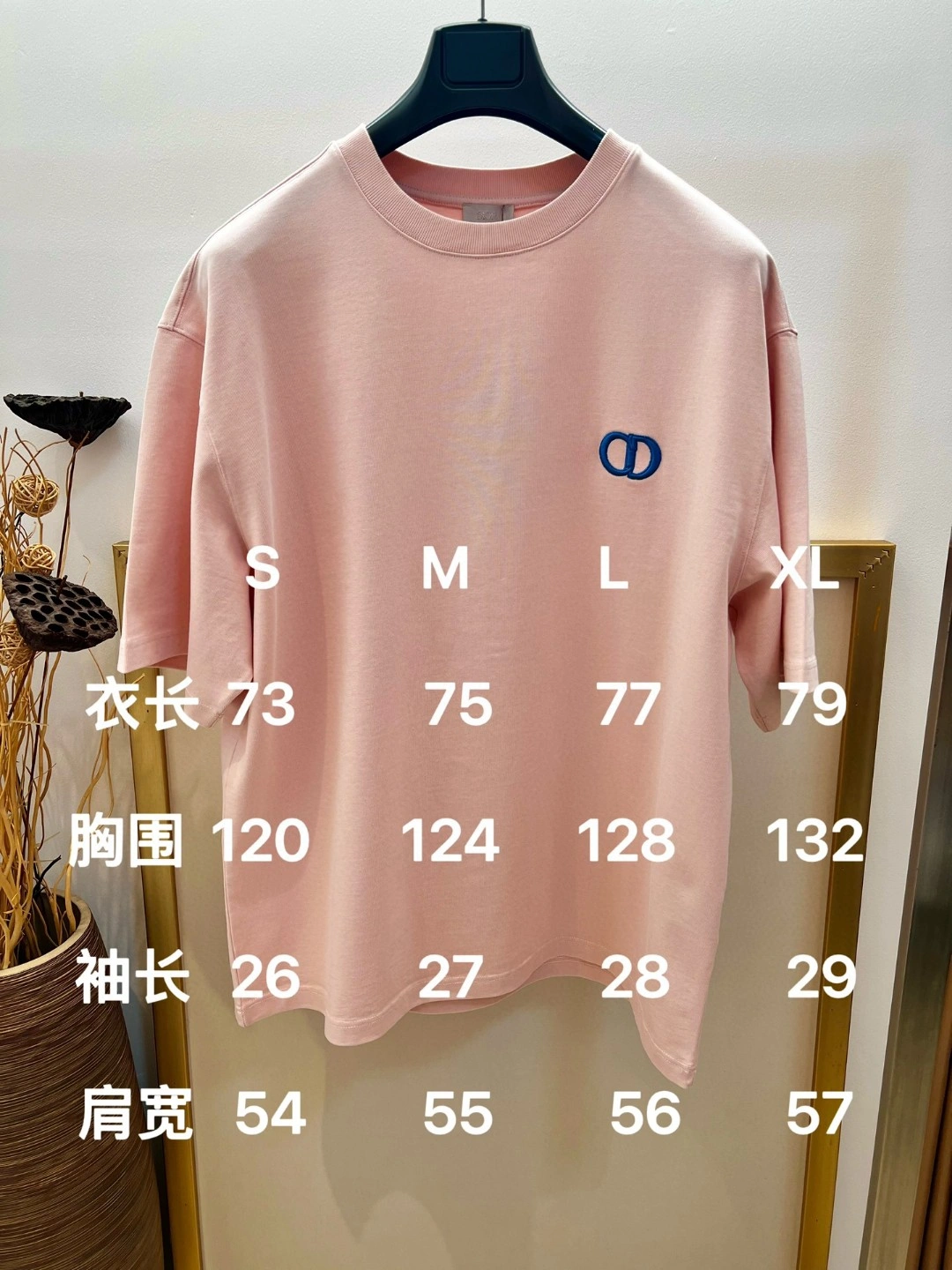 GoAnywhere D*ior T-shirt Top Quality D17 20240410- 13283
