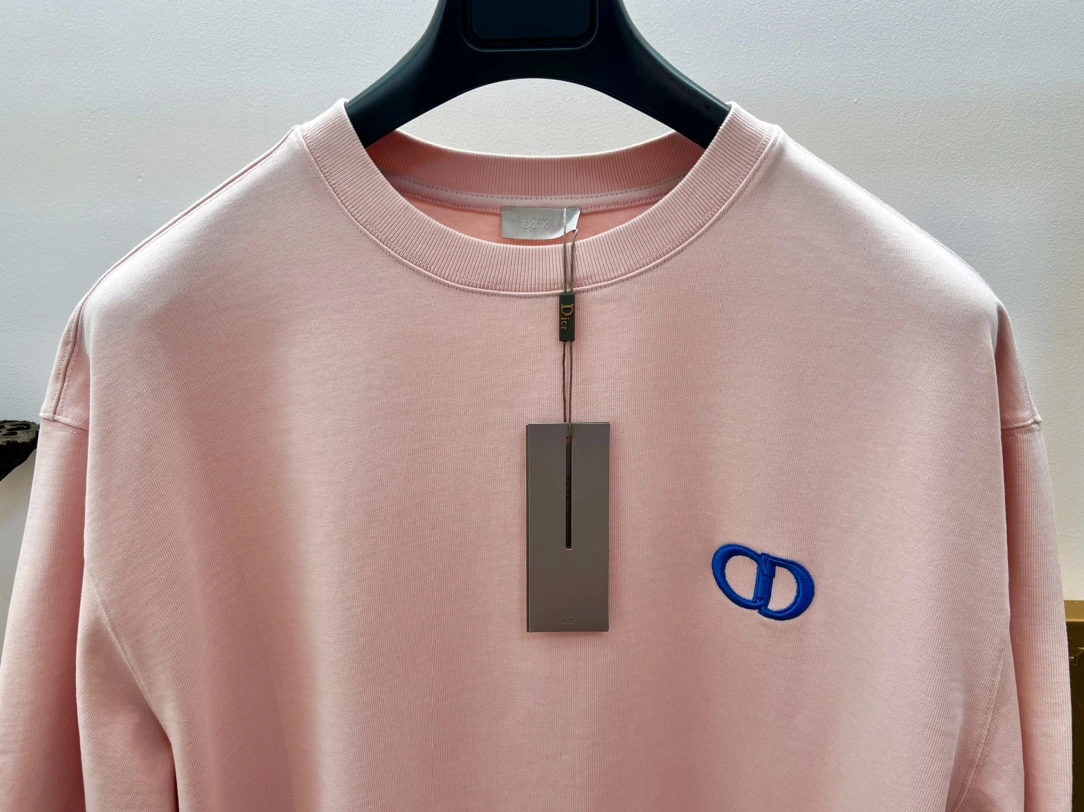 GoAnywhere D*ior T-shirt Top Quality D17 20240410- 13283