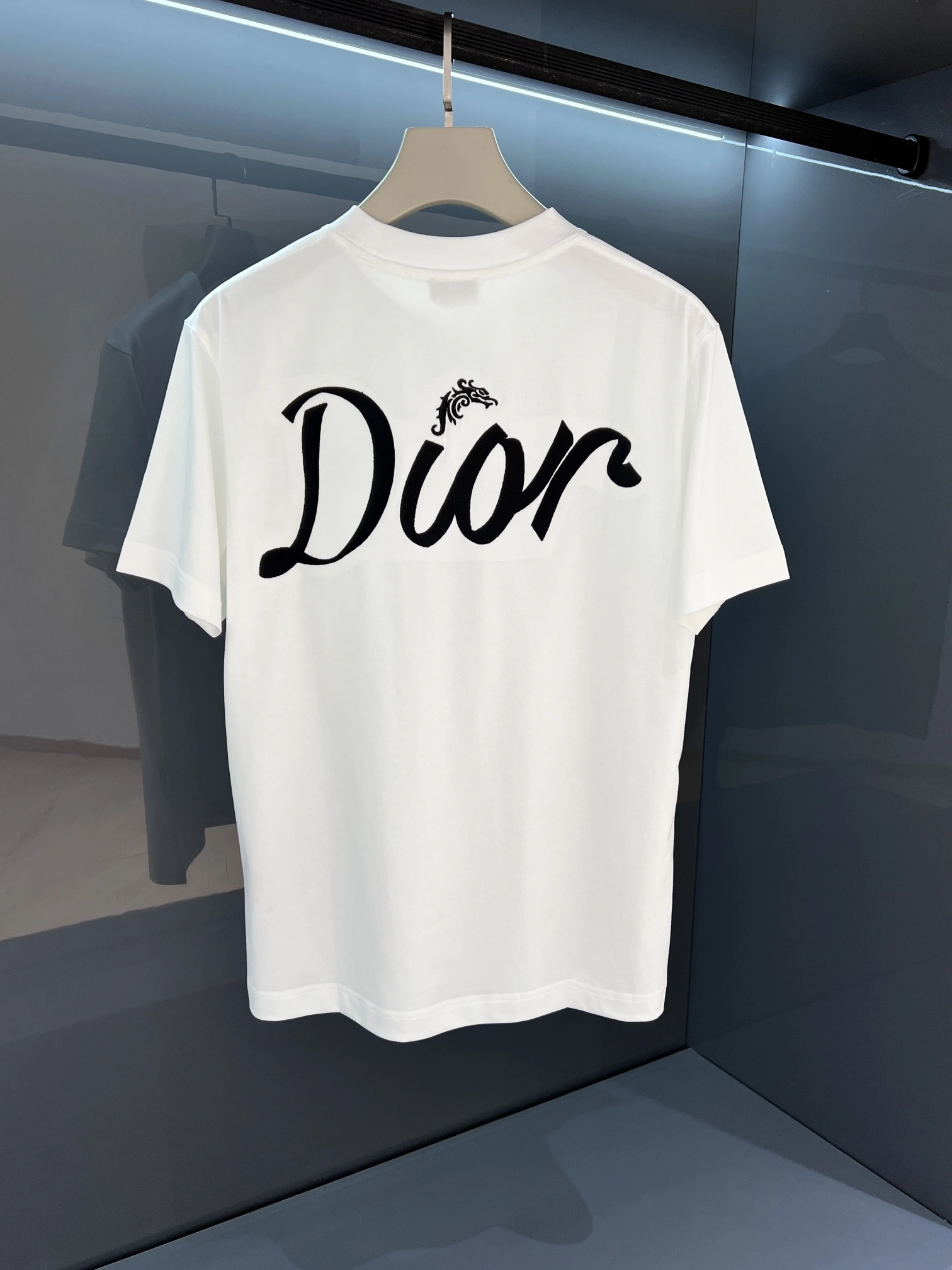 D*ior T-shirt Top Quality D17 20240413- QuickDry 13280