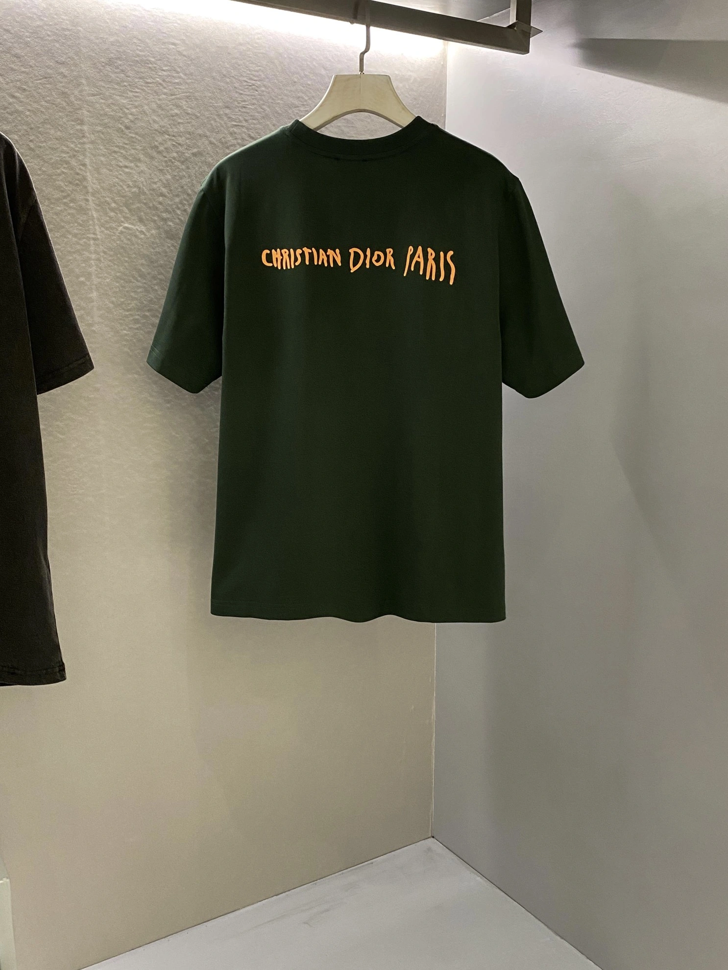 DailyWear D*ior T-shirt Top Quality D17 20240422- 13248