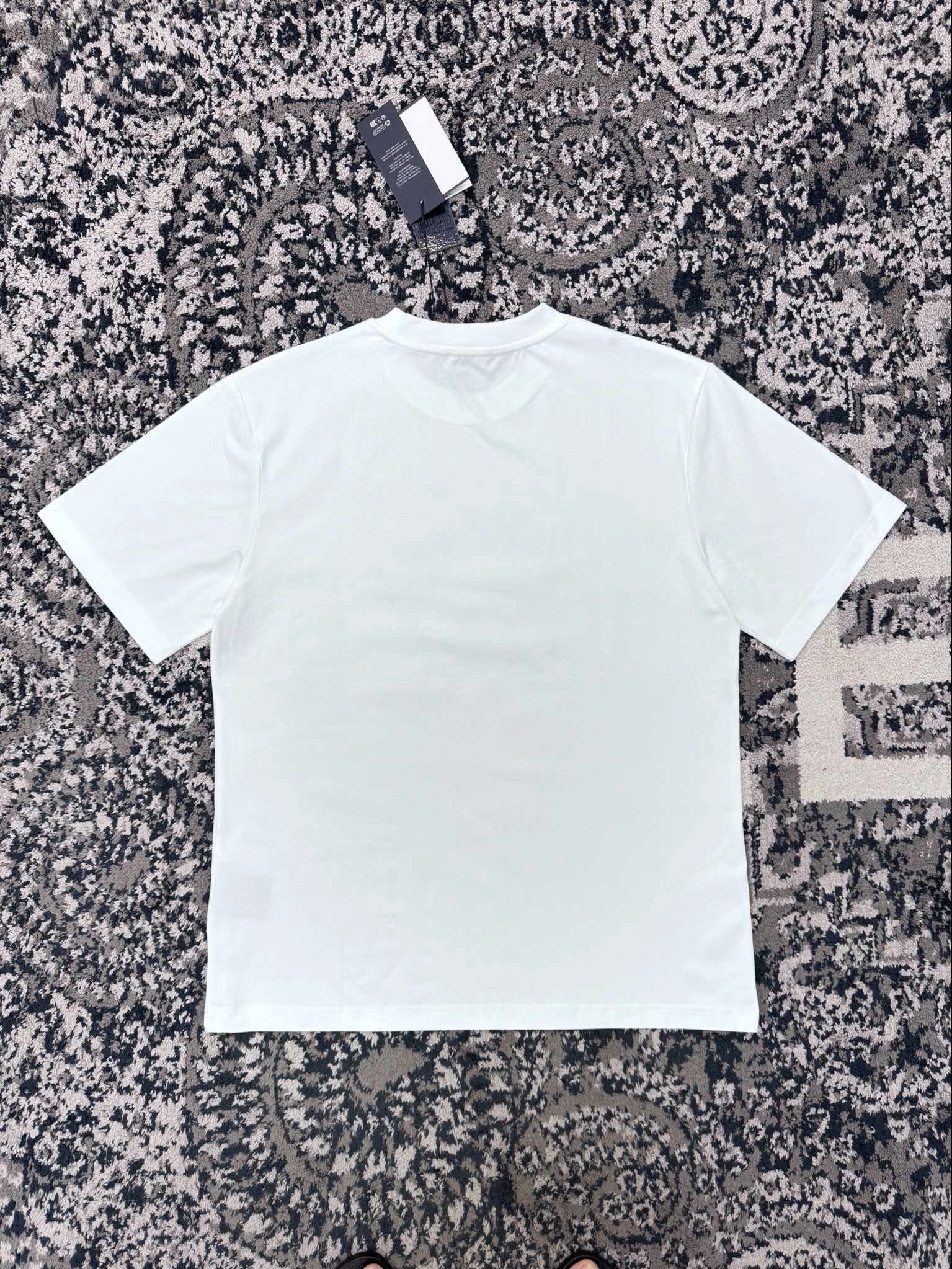 TimelessDesign D*ior T-shirt Top Quality D17 20240425- 13244