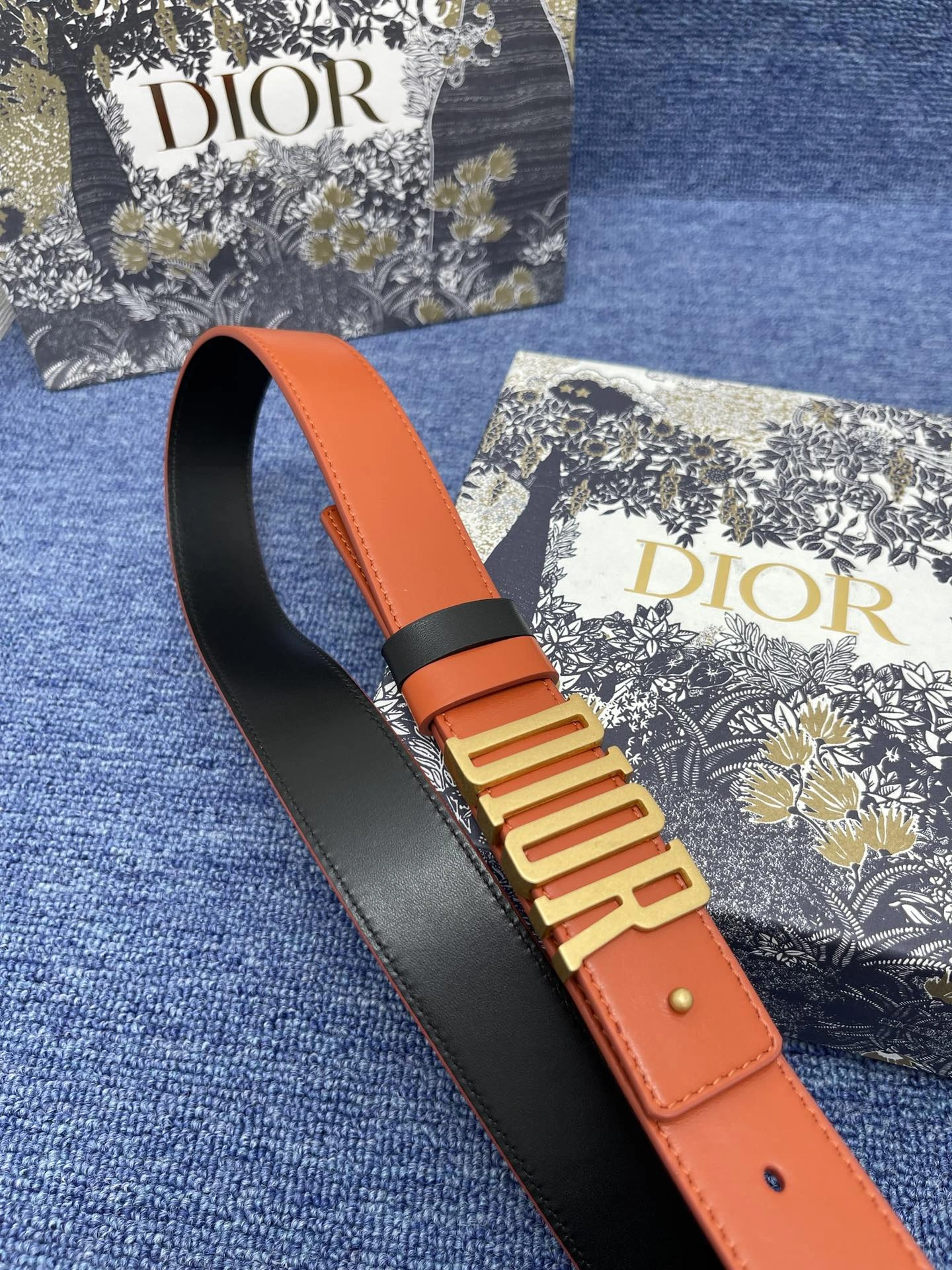 TimelessDesign D*ior Top Belts AT 20230904- 15727