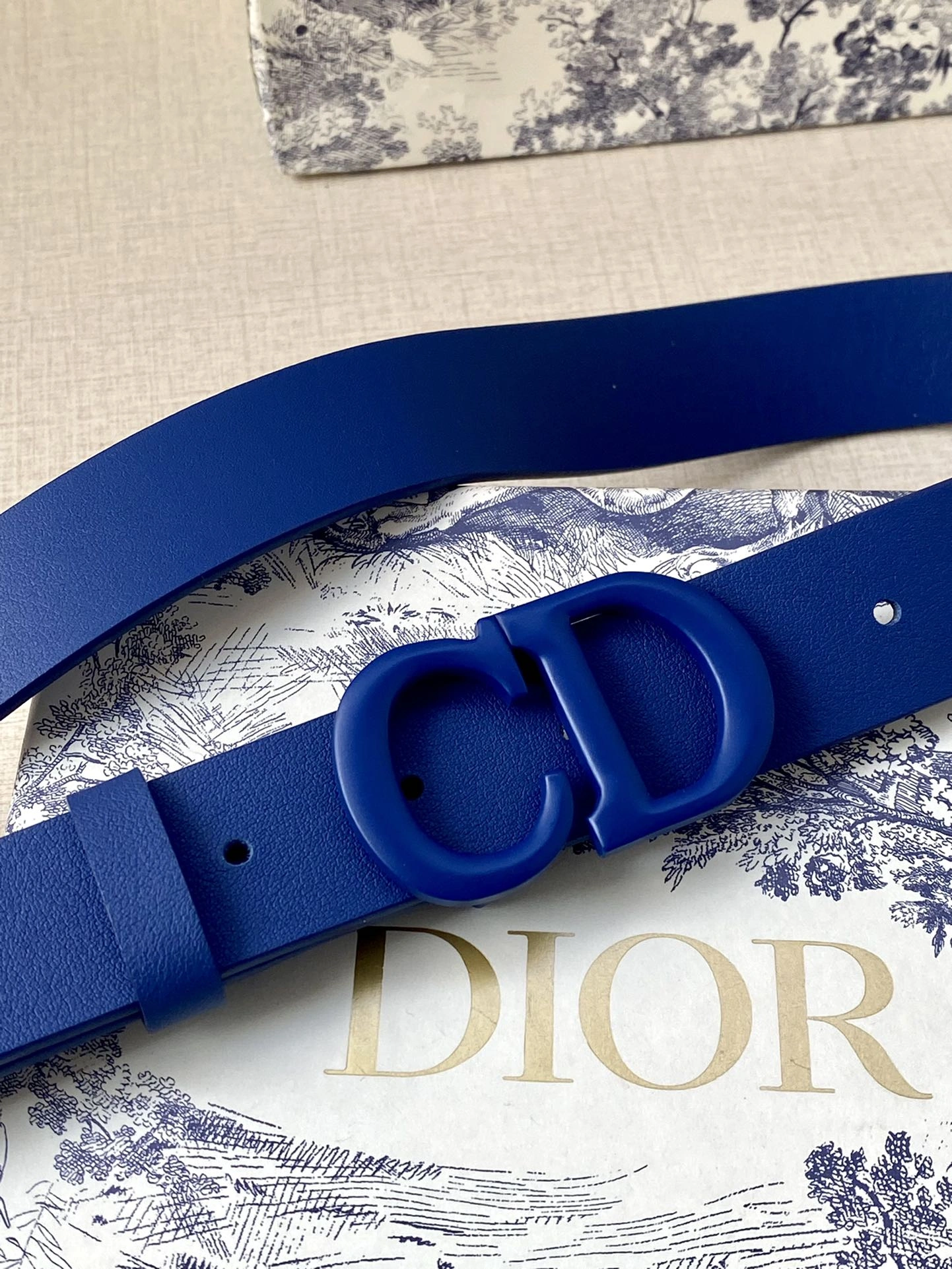 D*ior Top Belts AT 20230906- Contemporary 15710