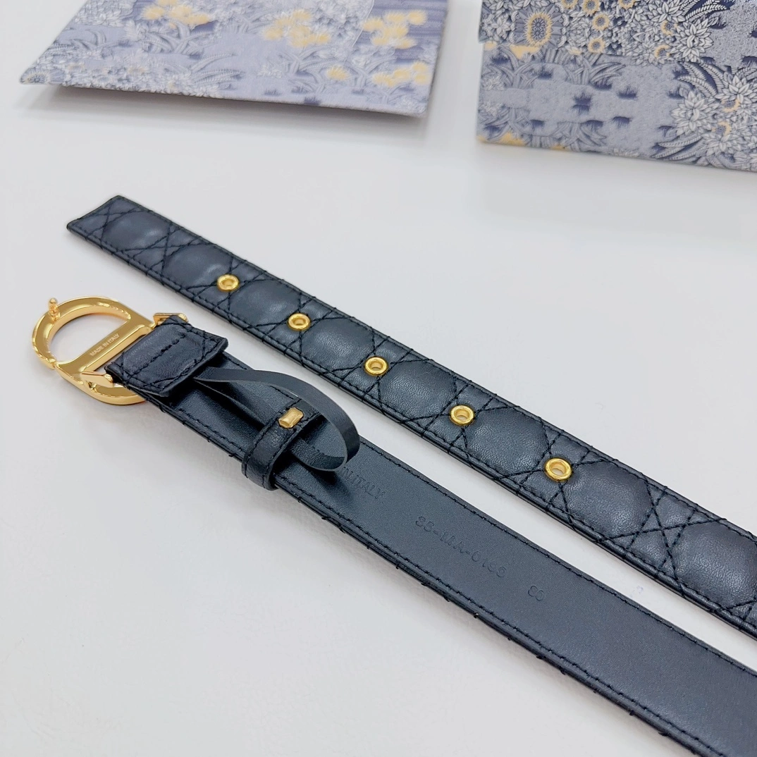 Thermal D*ior Top Belts AT 20230906- 15717