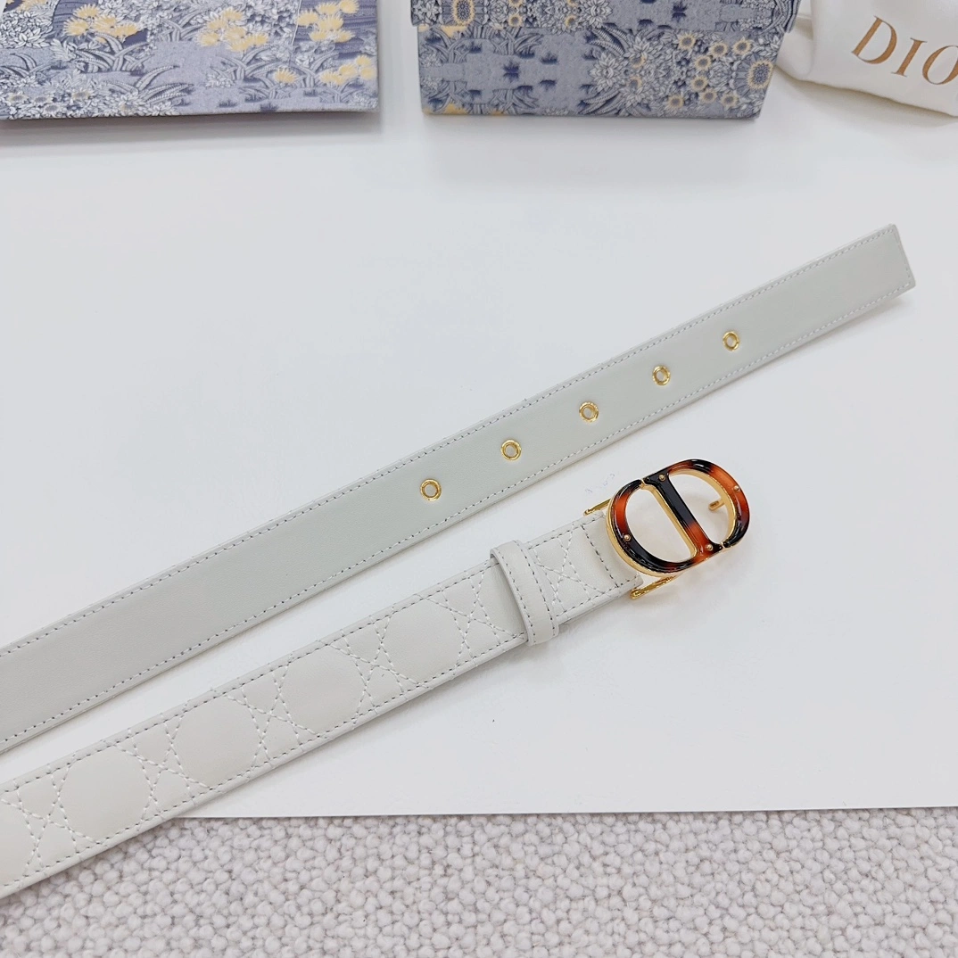 Thermal D*ior Top Belts AT 20230906- 15717
