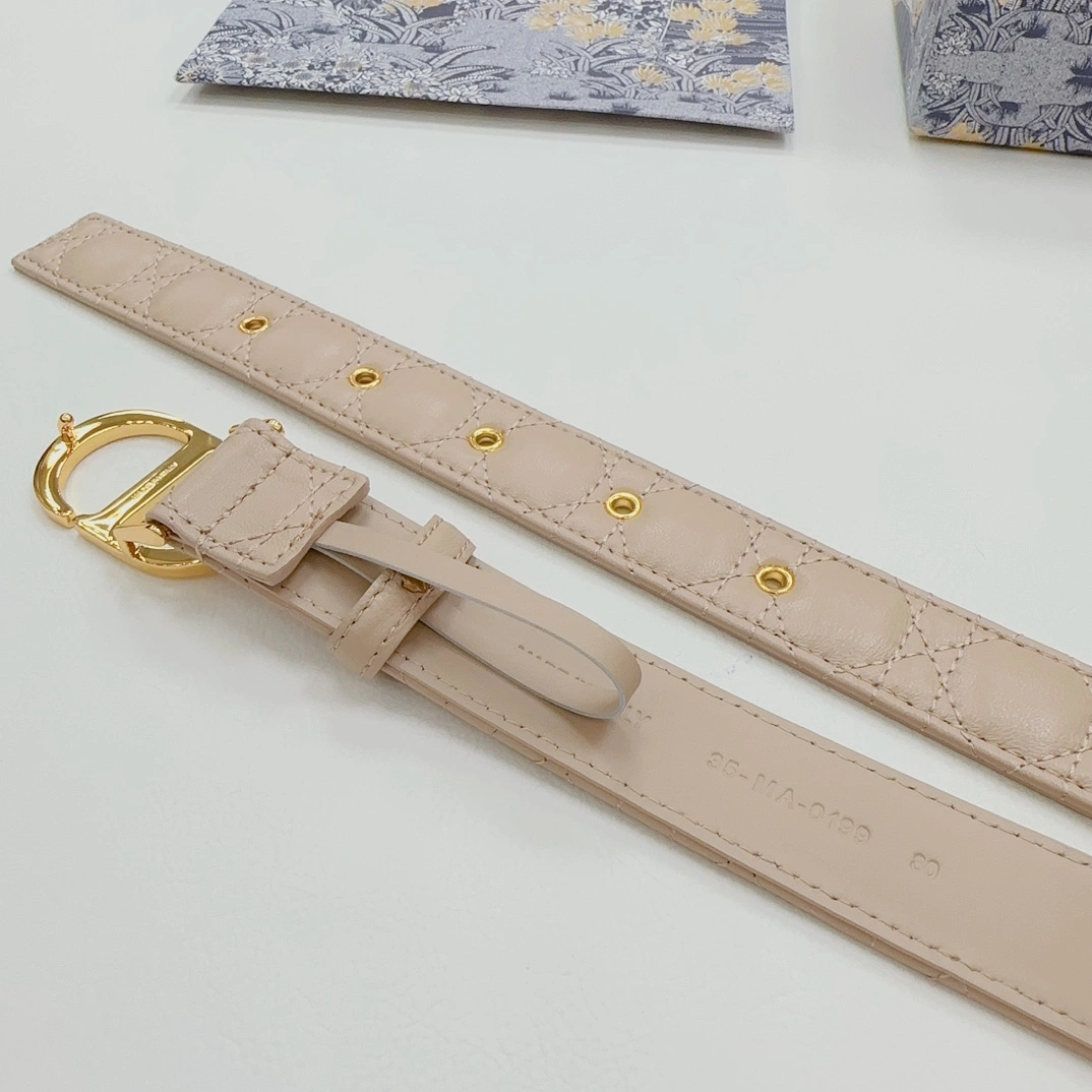 Thermal D*ior Top Belts AT 20230906- 15717