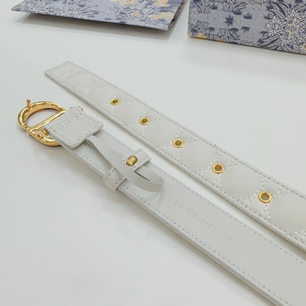 Thermal D*ior Top Belts AT 20230906- 15717