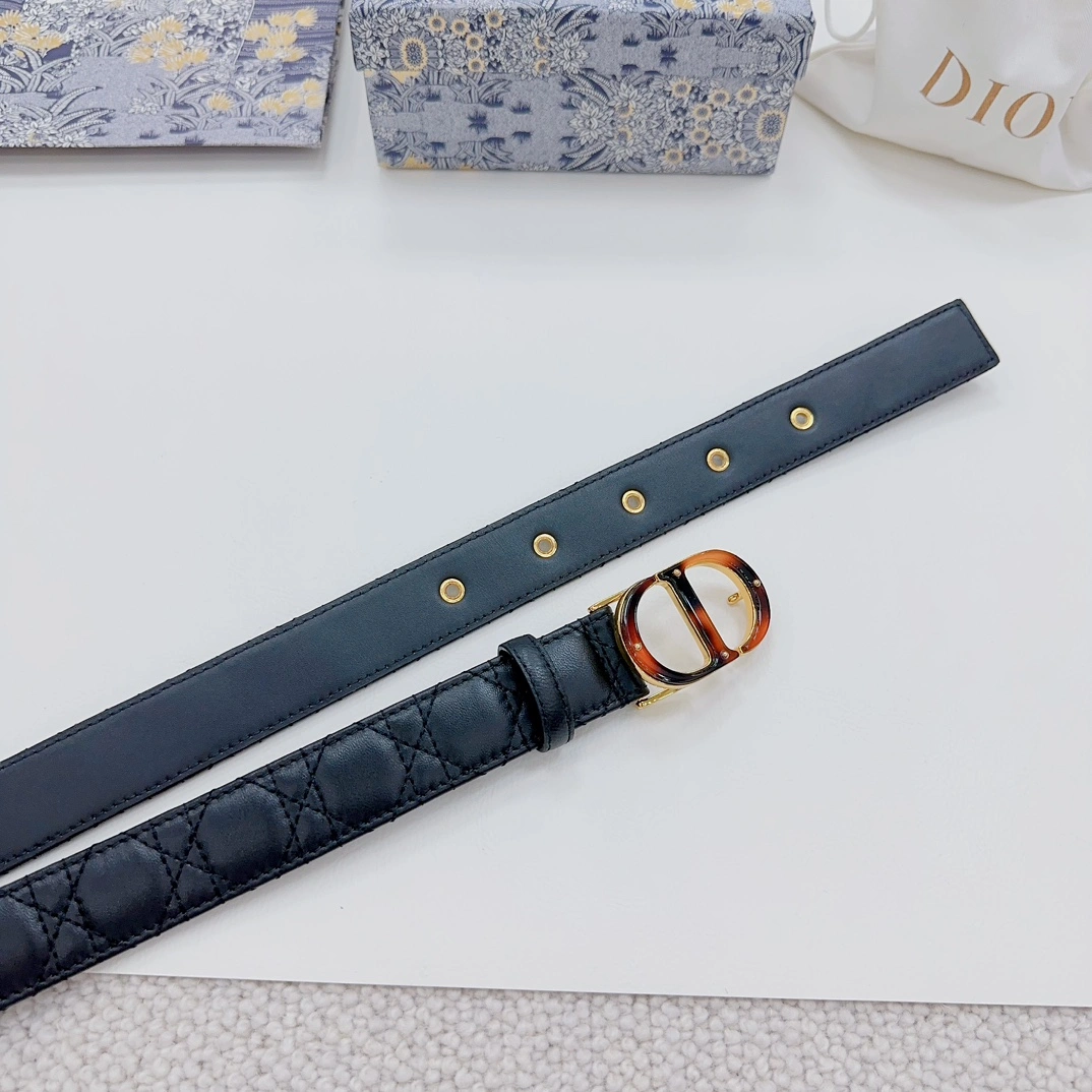 Thermal D*ior Top Belts AT 20230906- 15717