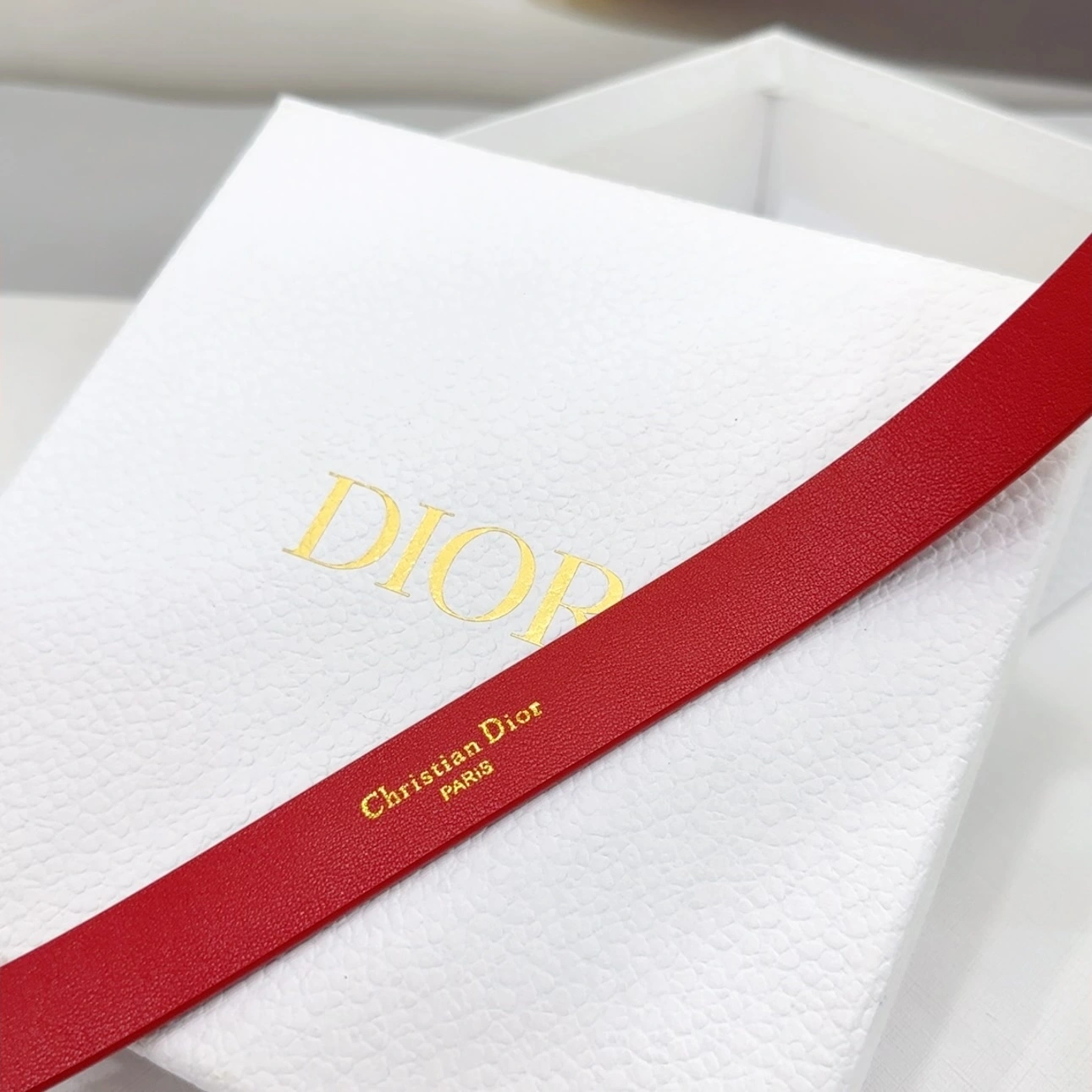 D*ior Top Belts AT 20250403- Resilient 15695