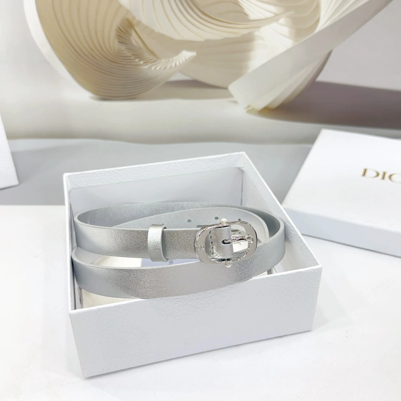Neat D*ior Top Belts AT 20250403- 15689