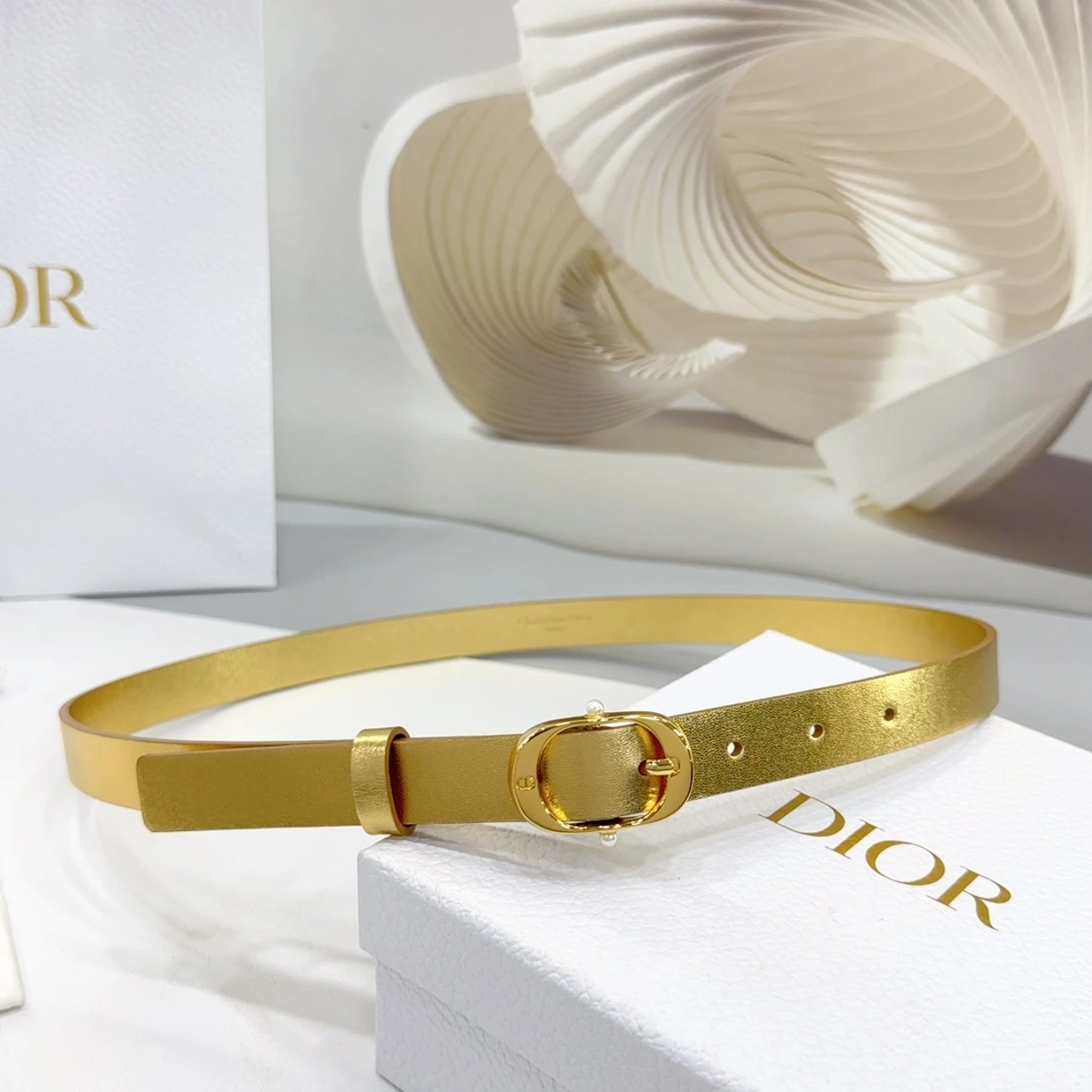 Neat D*ior Top Belts AT 20250403- 15689