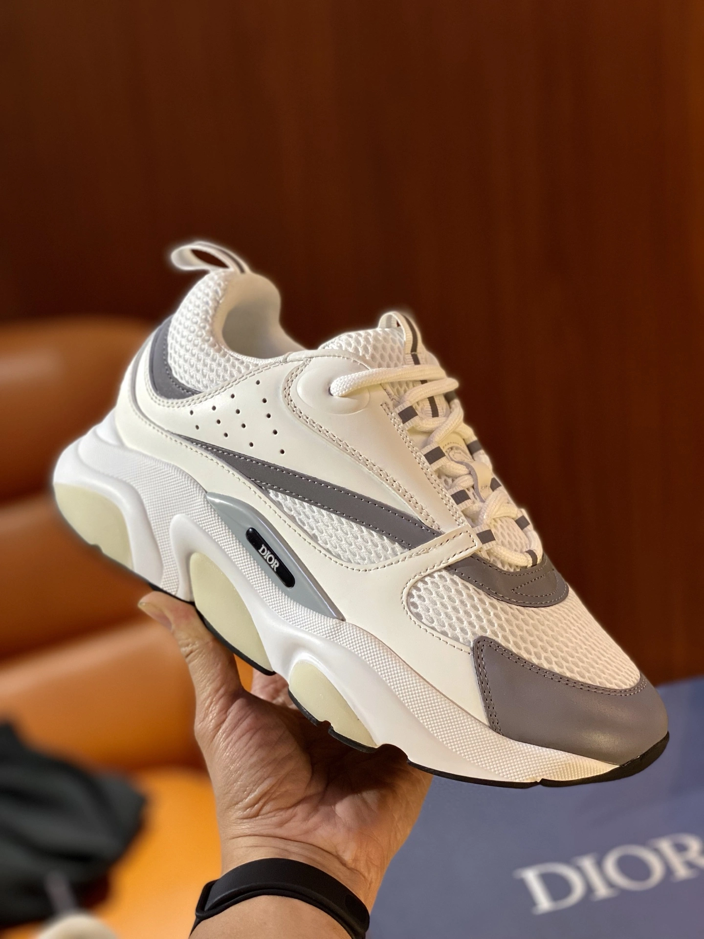 TopPick D*ior Top Sneaker RR 20250417- 5581