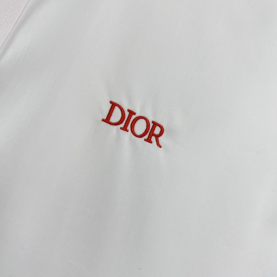 DailyWear D*ior shirt Top Quality D17 20240501- 13211