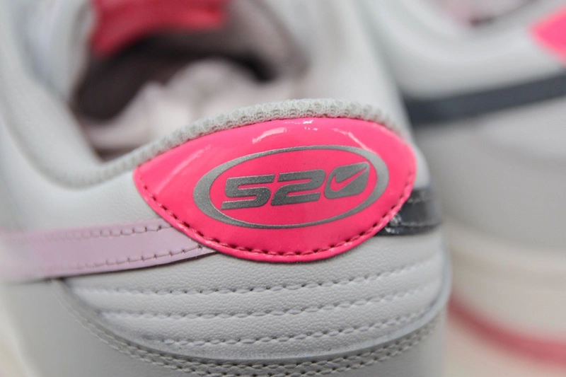 Packable Dunk Low 520 Pack Pink FN3451- 137