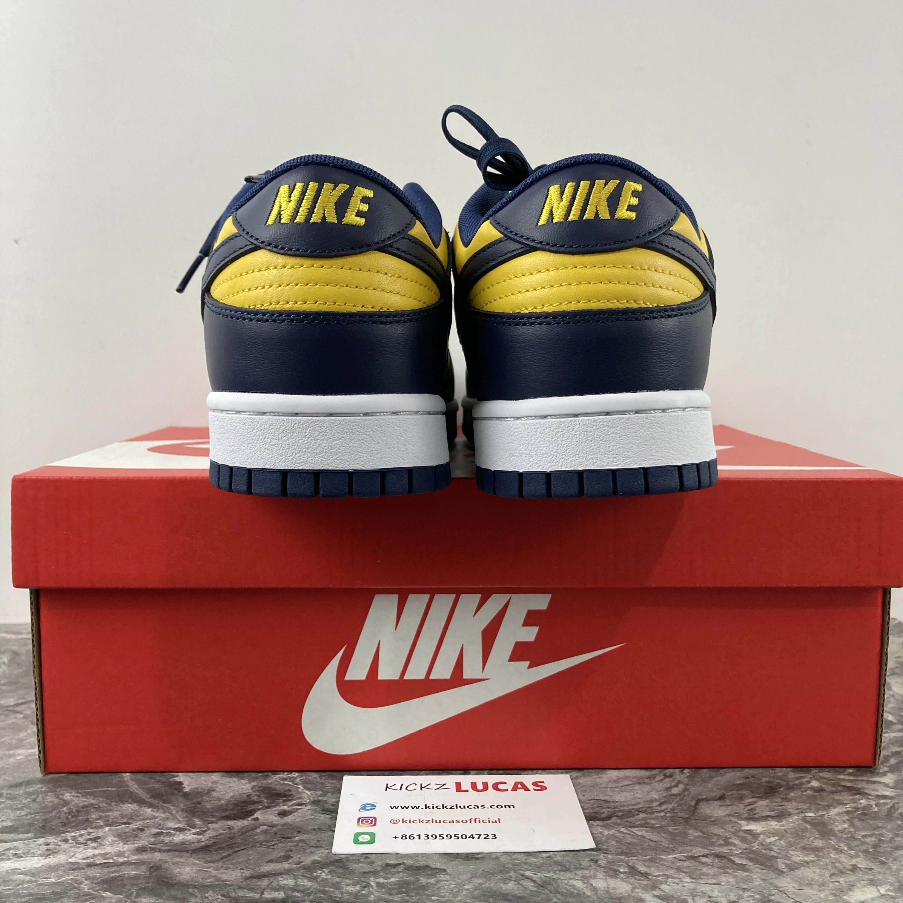 Dunk Low Michigan DD1391- TechFriendly 584