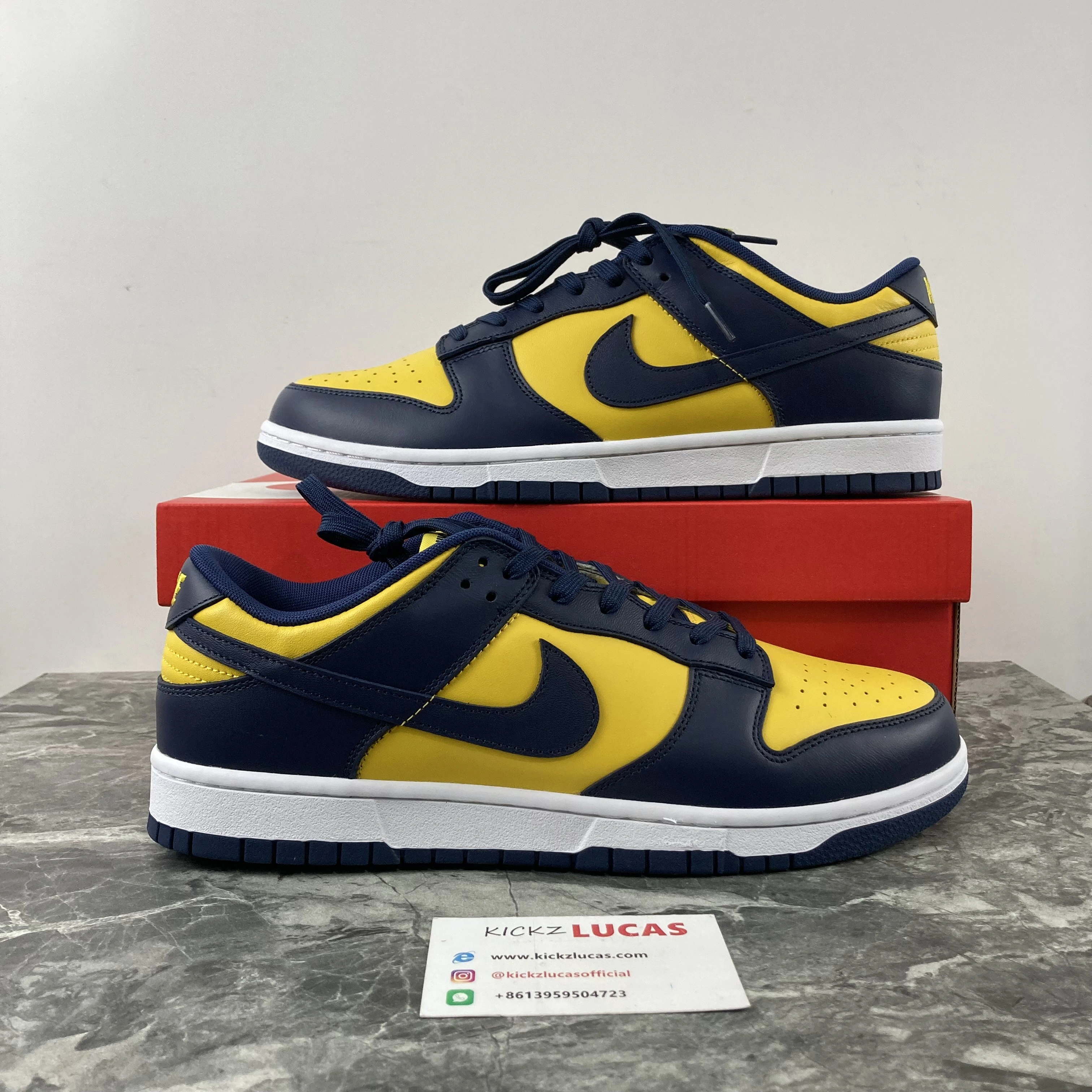 Dunk Low Michigan DD1391- TechFriendly 584
