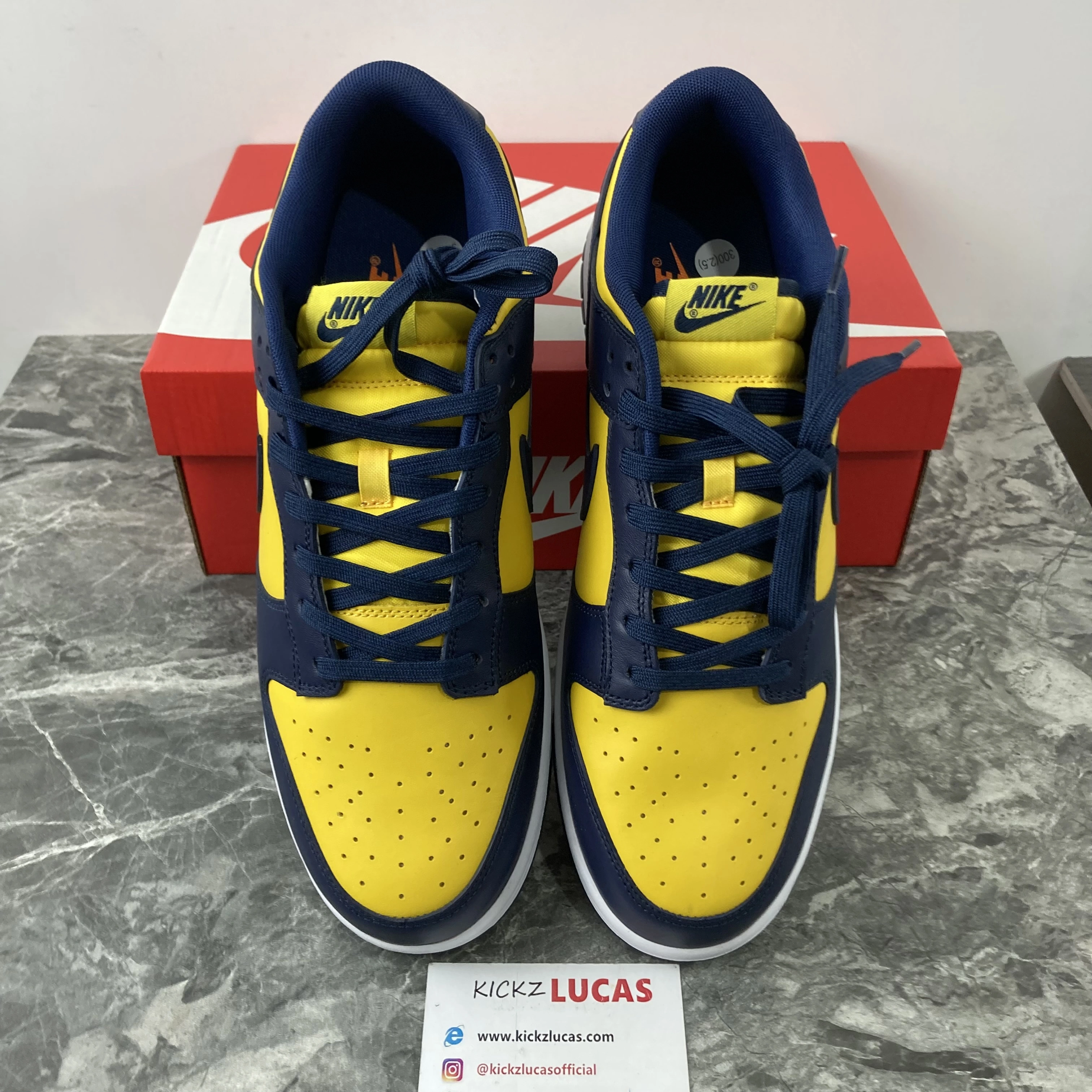 Dunk Low Michigan DD1391- TechFriendly 584