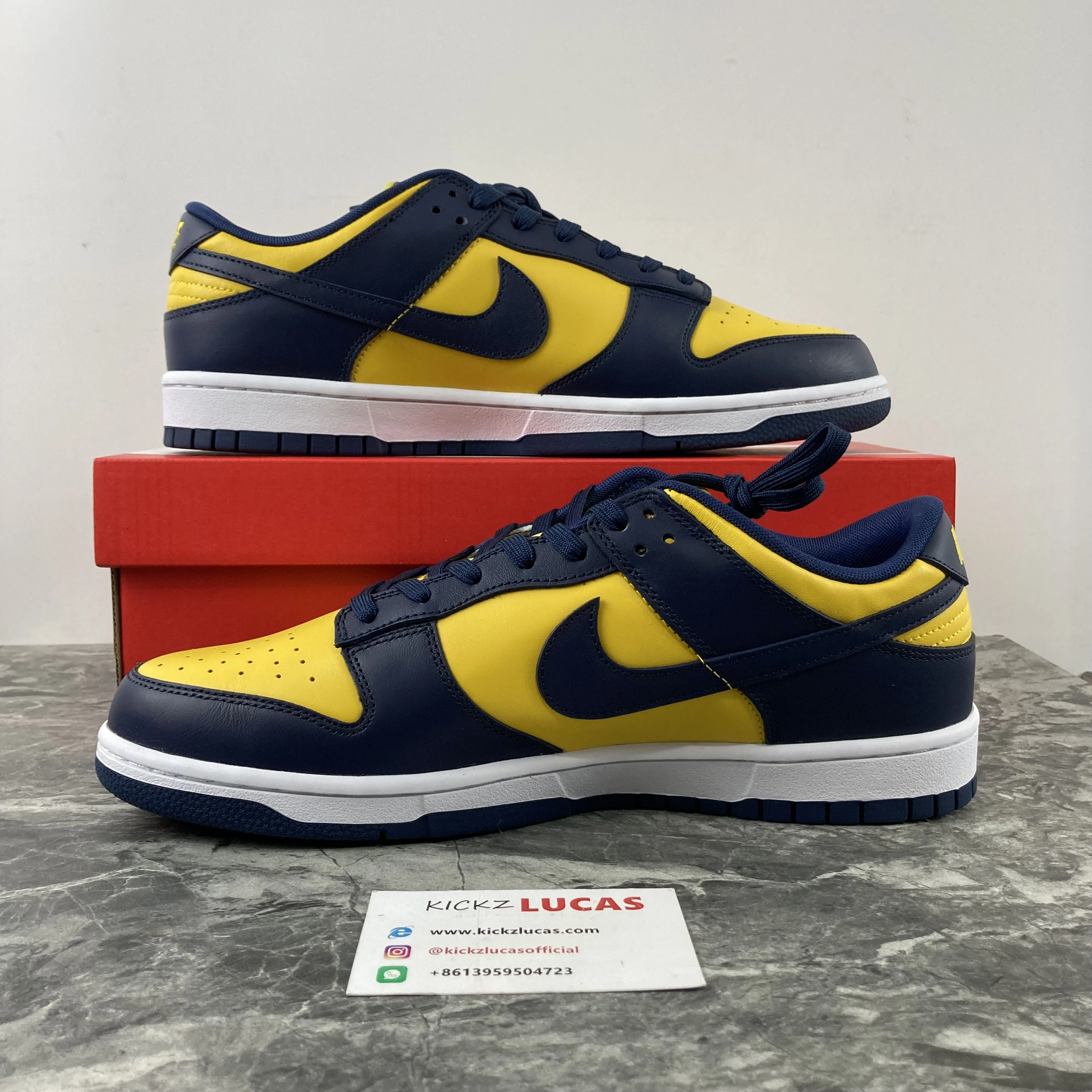 Dunk Low Michigan DD1391- TechFriendly 584