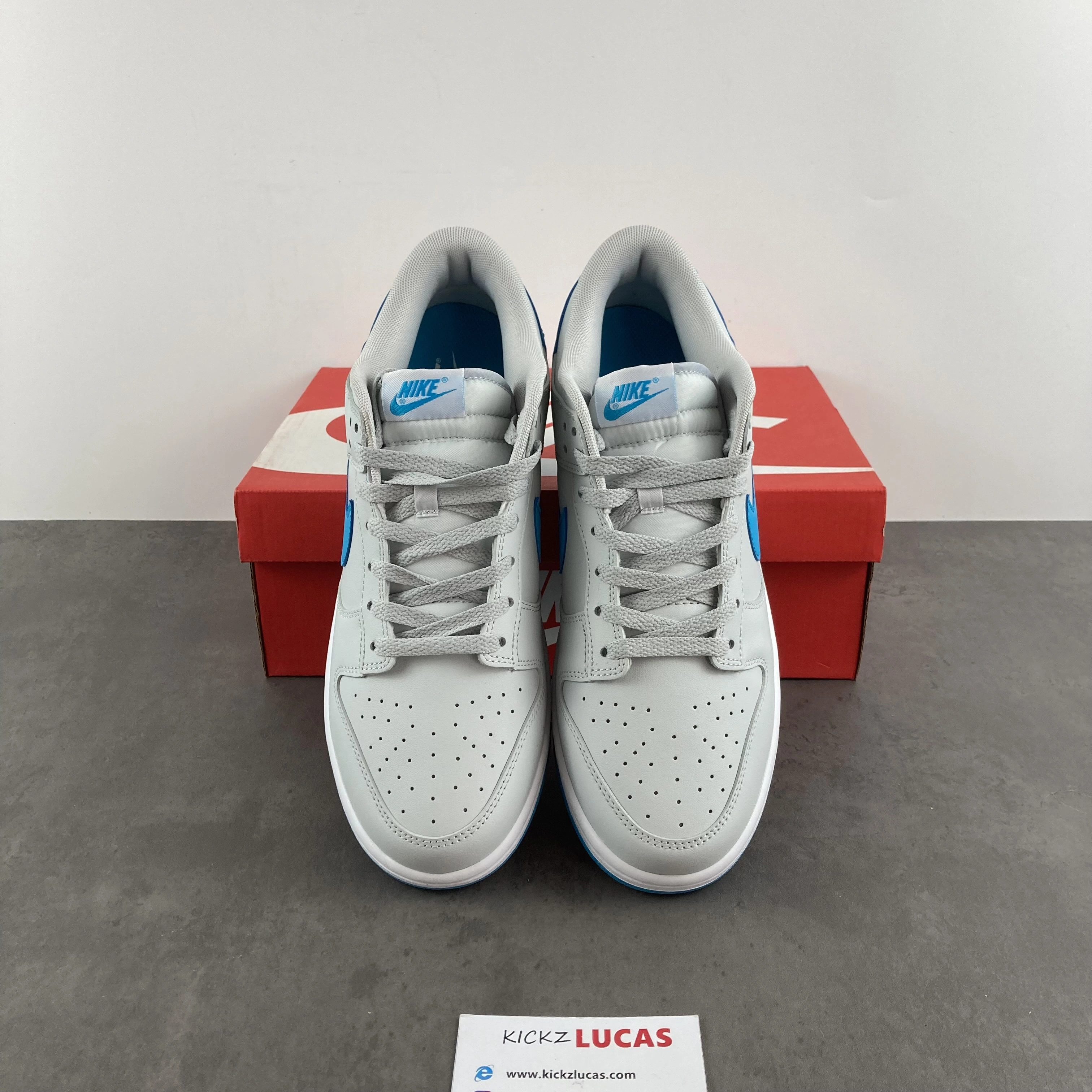 Dunk Low Retro Pure Platinum Blue Lightning DV0831- Cozy 193