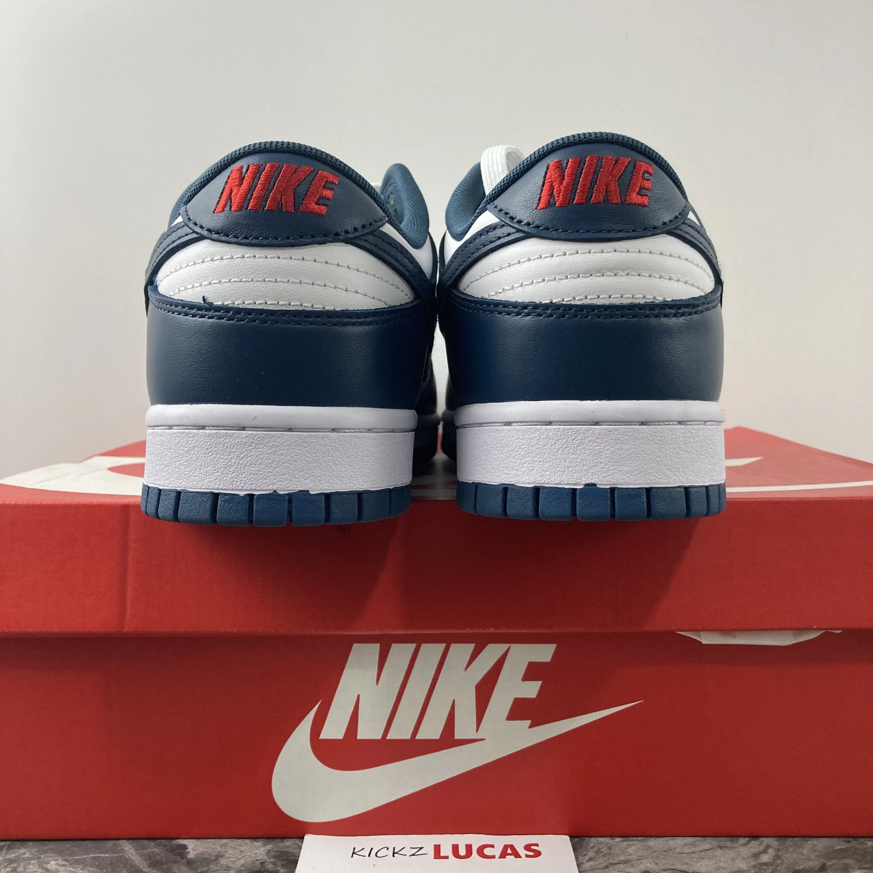 Breathable Dunk Low Valerian Blue DD1391- 378