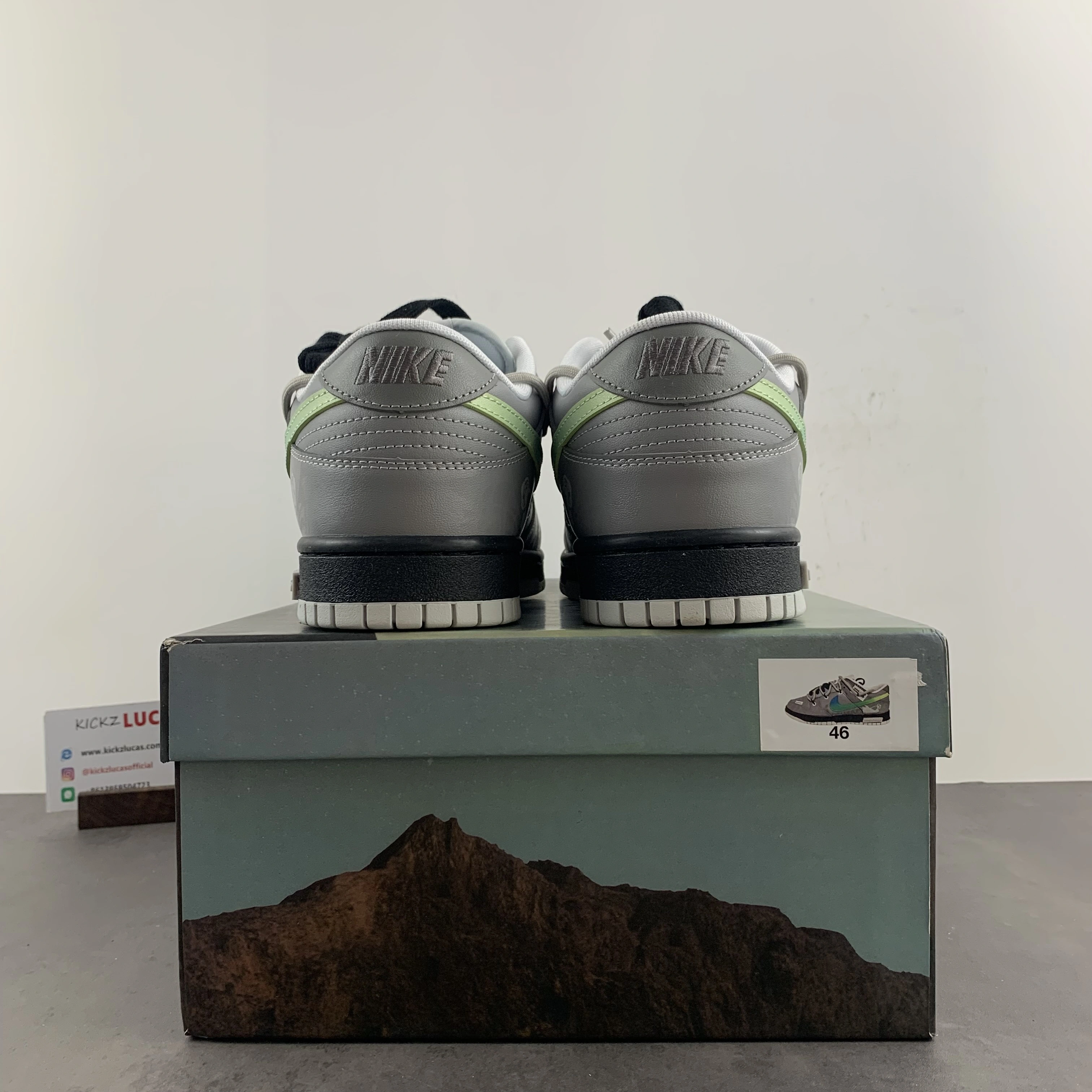 Dunk Low universe Custom DV0831- Trendy 31