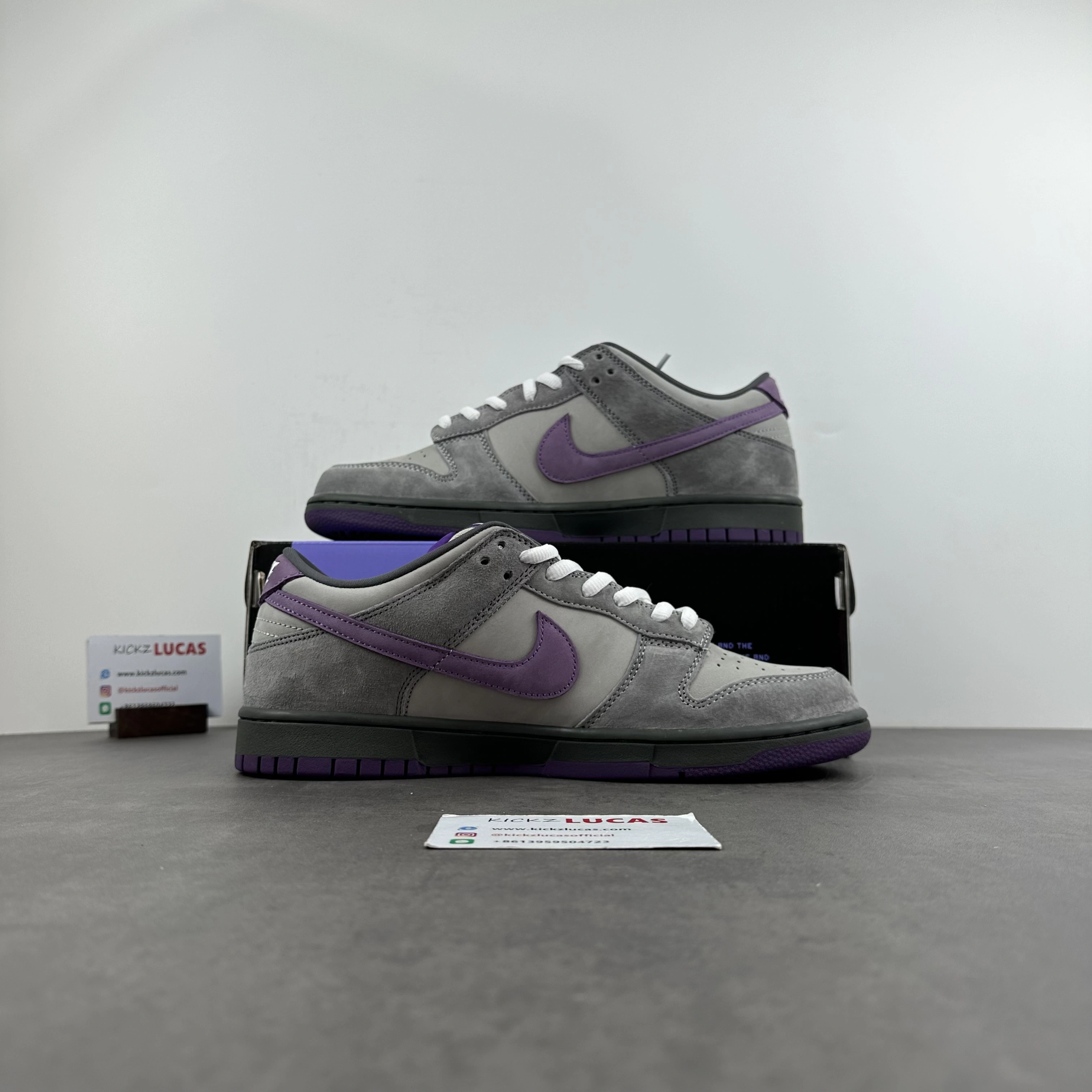 OdorResistant Dunk SB Low Purple Pigeon 304292- 621