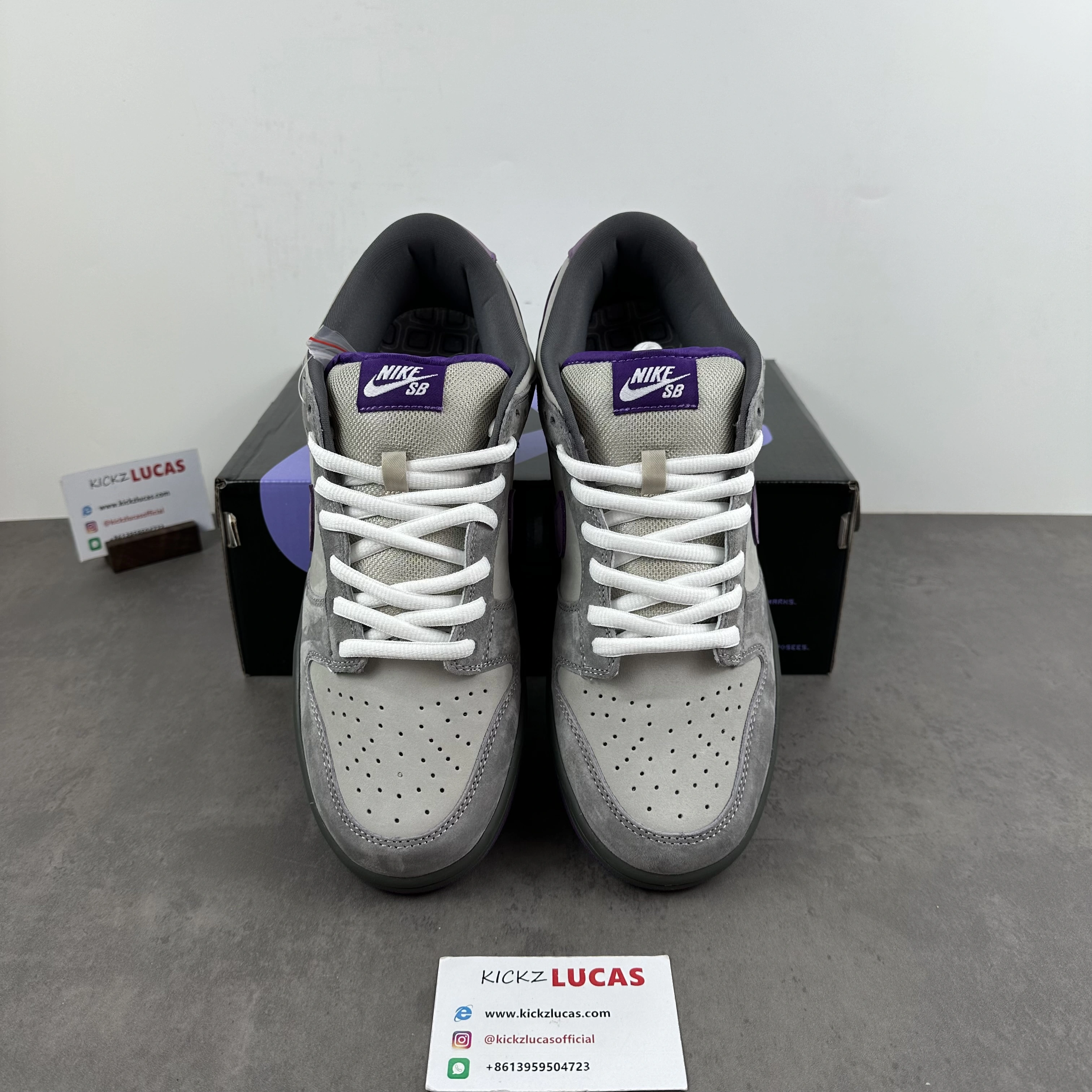 OdorResistant Dunk SB Low Purple Pigeon 304292- 621