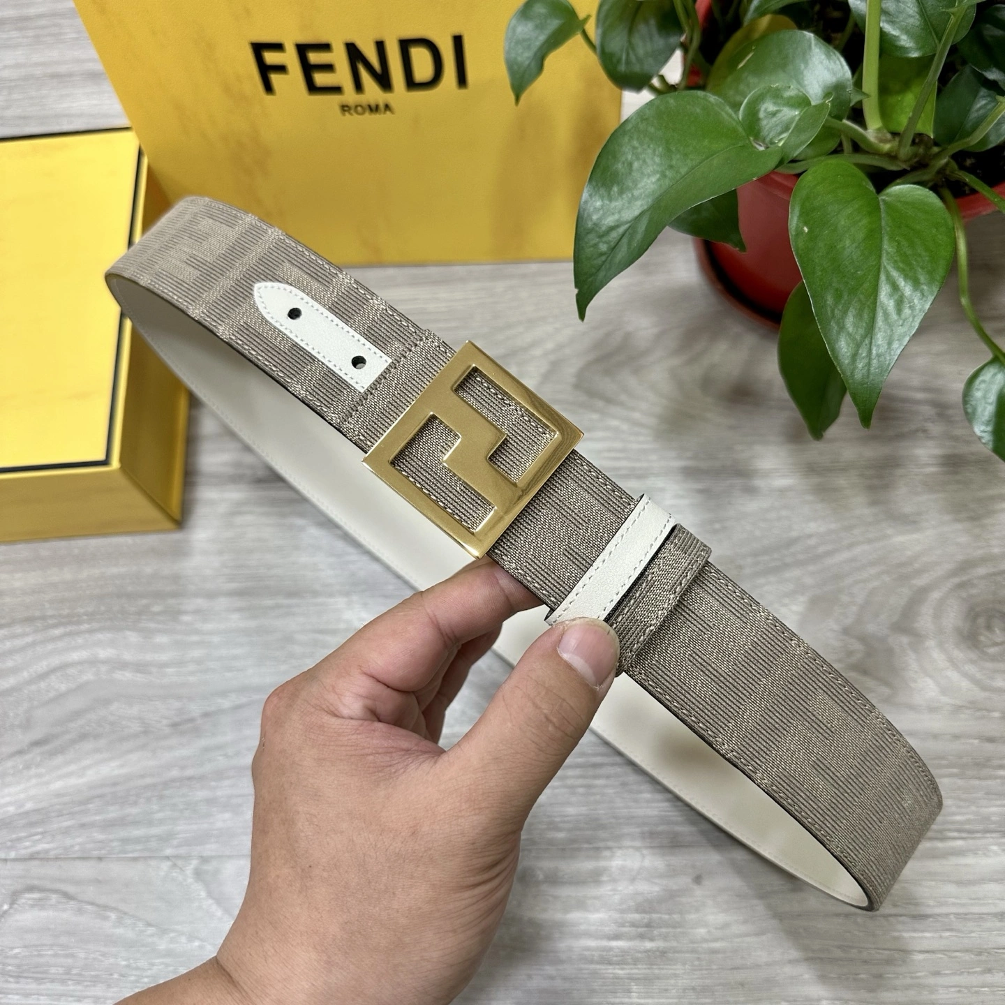 F*endi Belts XX 20250405- TravelReady 16495