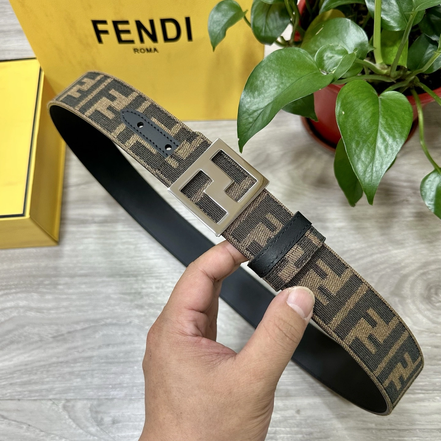 F*endi Belts XX 20250405- TravelReady 16495