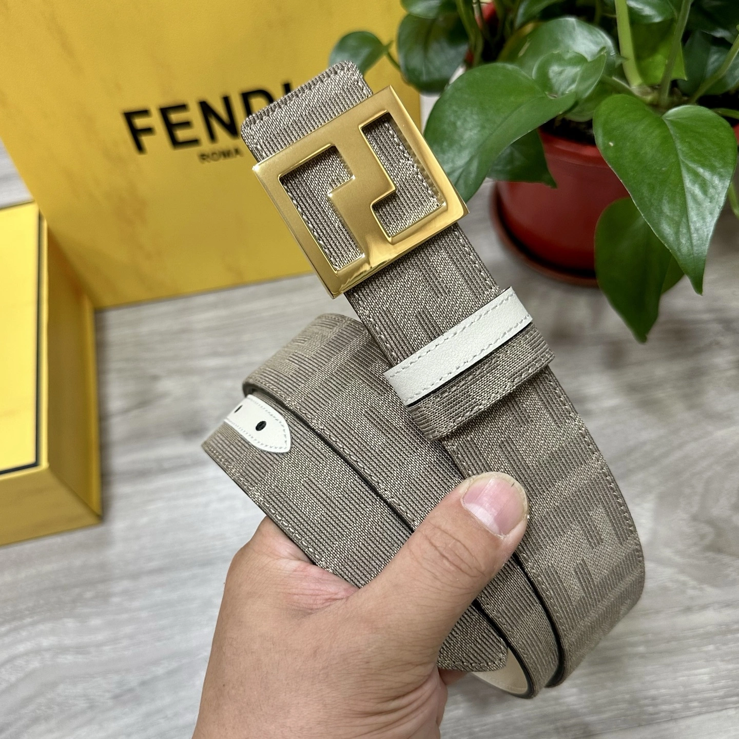 F*endi Belts XX 20250405- TravelReady 16495