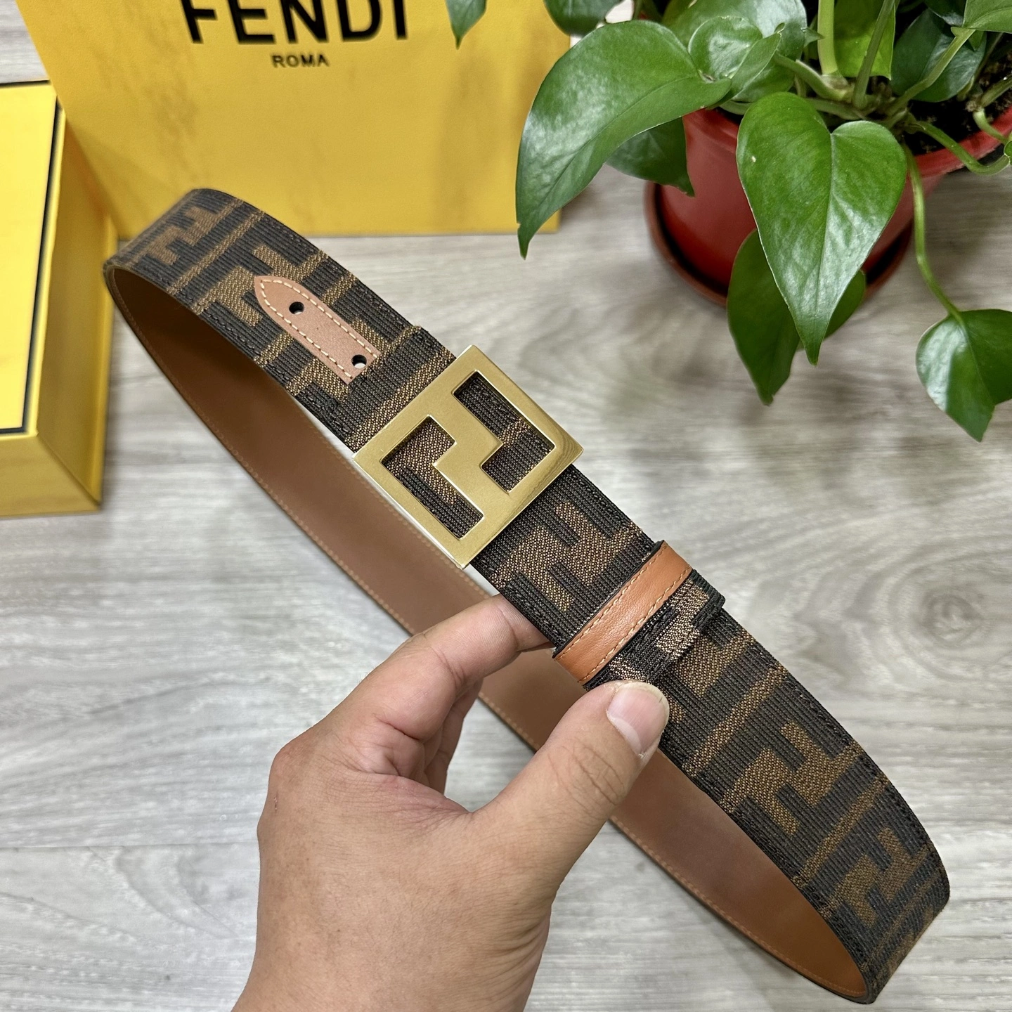 F*endi Belts XX 20250405- TravelReady 16495