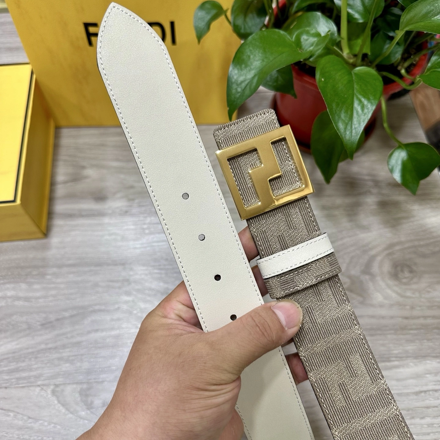 F*endi Belts XX 20250405- TravelReady 16495