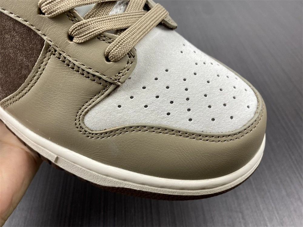 Modern 【Free shipping】Dunk High Light Chocolate DH5348- 482