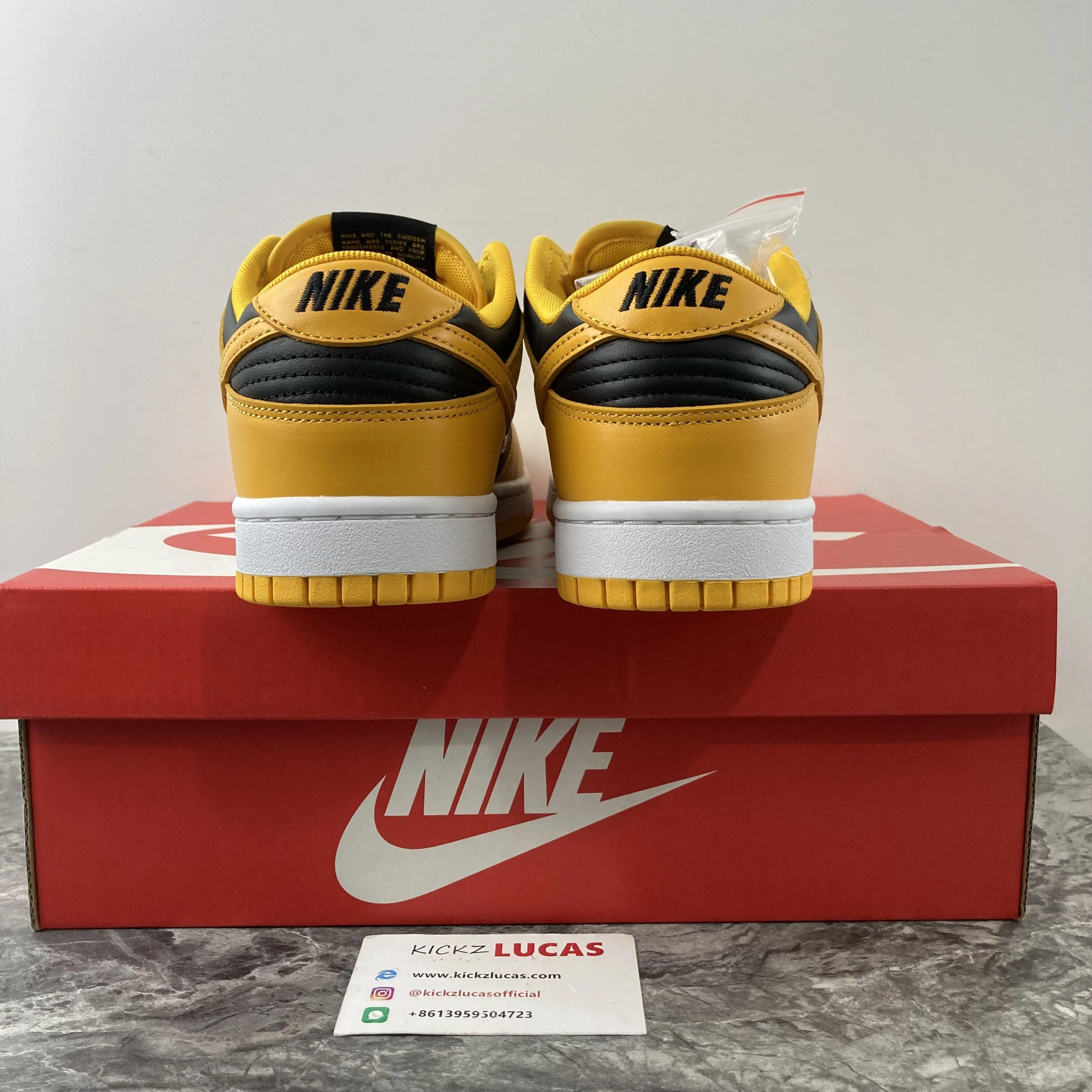 TravelReady 【Free shipping】Dunk Low Championship Goldenrod DD1391- 460