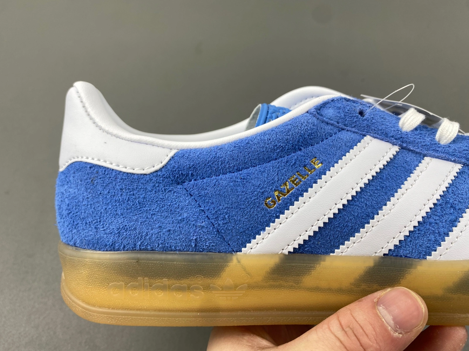 Gazelle Indoor Blue Fusion Gum HQ Upgraded 2797