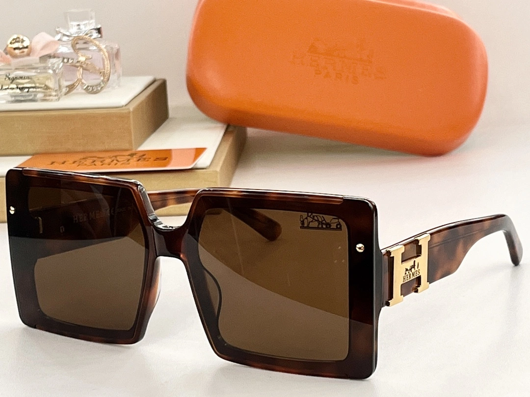 H*ermes Glasses Top XX 20250113- Resilient 17190