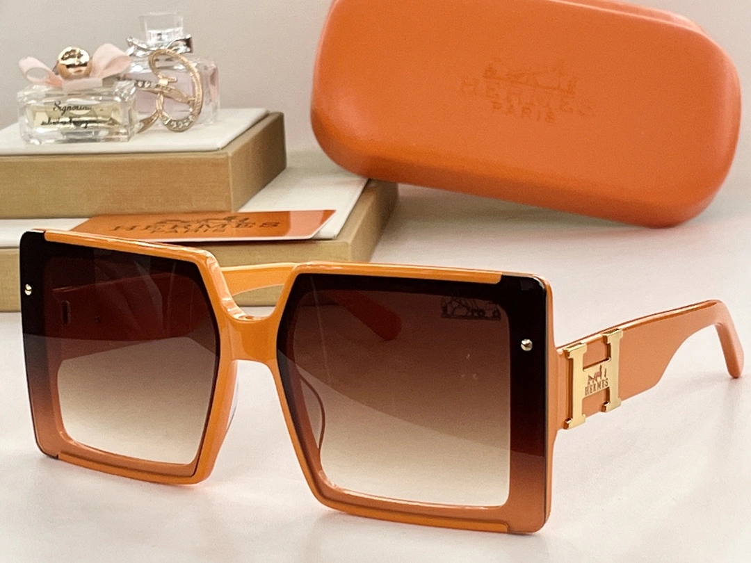 H*ermes Glasses Top XX 20250113- Resilient 17190