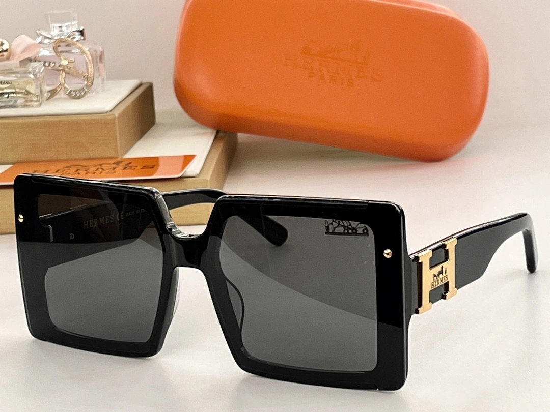 H*ermes Glasses Top XX 20250113- Resilient 17190