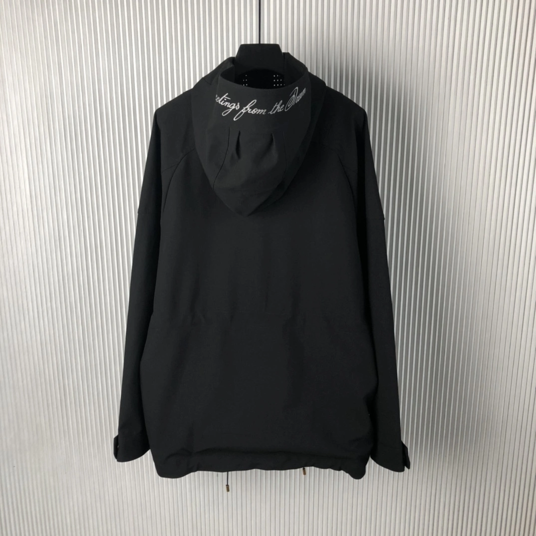 L*ouis V*uitton Coat Quality D17 20240821- Packable 12564
