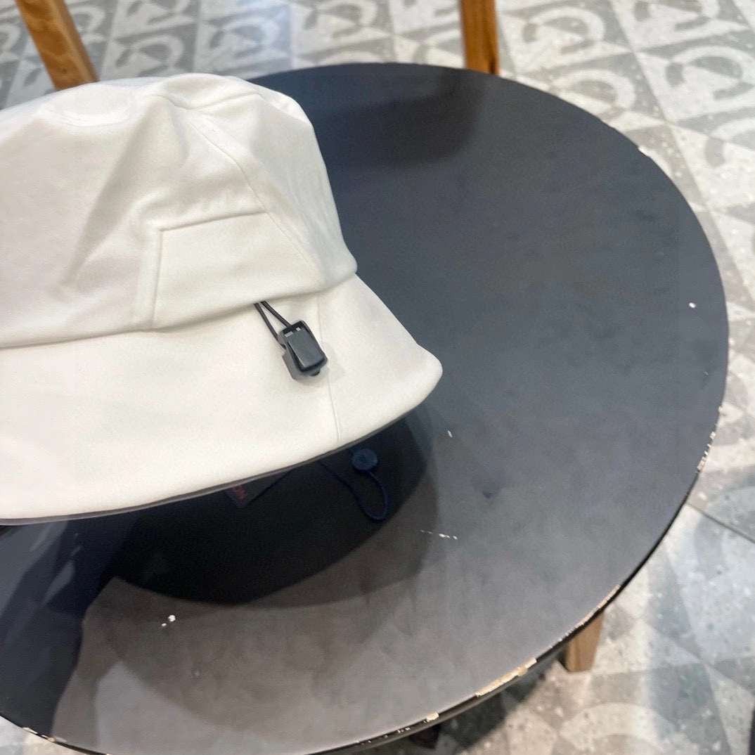 GoAnywhere L*ouis V*uitton Hats Top XX20250408- 17530