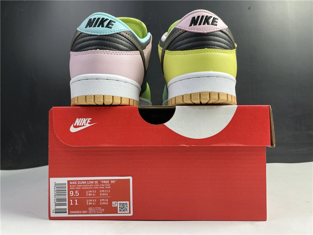 Snug Nike Dunk Low “Free 99” DH0952- 589