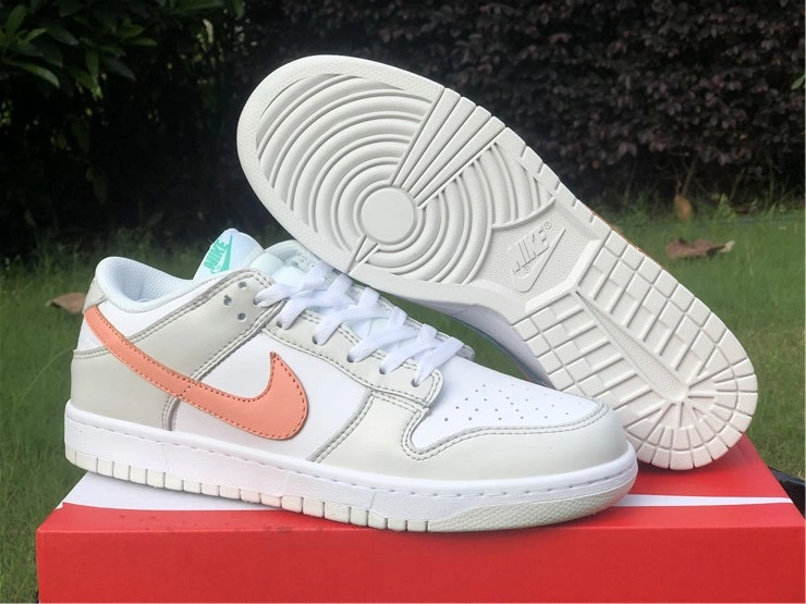 OdorResistant Nike Dunk Low GS“ Tropical Twist” CW1590- 577