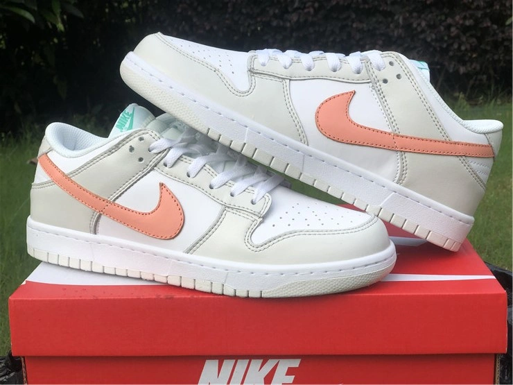 OdorResistant Nike Dunk Low GS“ Tropical Twist” CW1590- 577