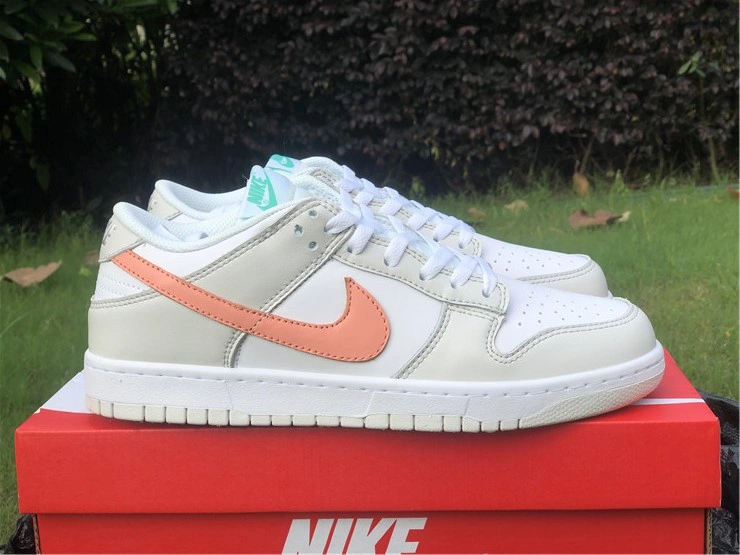 OdorResistant Nike Dunk Low GS“ Tropical Twist” CW1590- 577