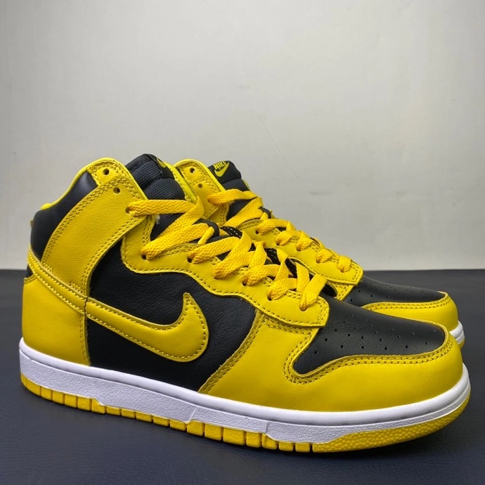 TravelReady Nike SB Dunk High 521