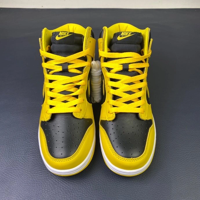 TravelReady Nike SB Dunk High 521