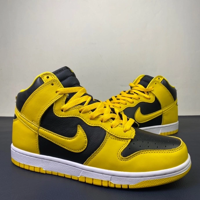 TravelReady Nike SB Dunk High 521